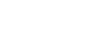 flex_n_gate_logo